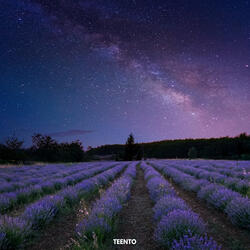 Afterlife