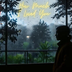 How Much I Loved You