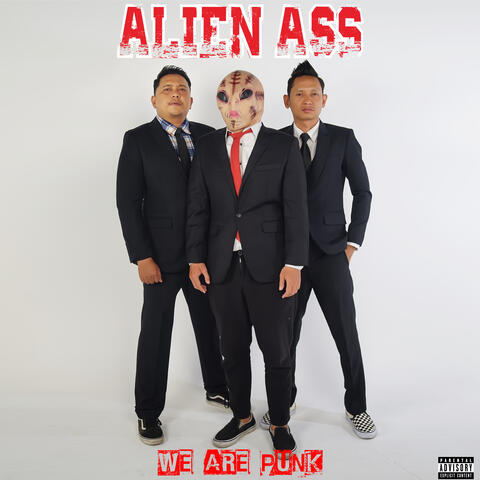 We Are Punk