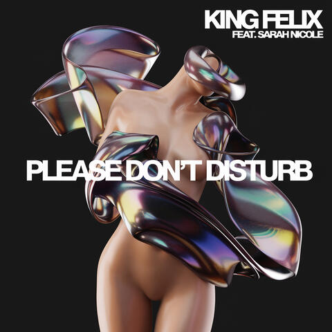 Please Don't Disturb