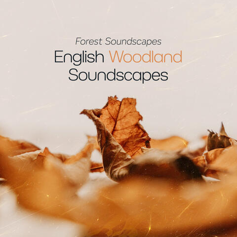 English Woodland Soundscapes