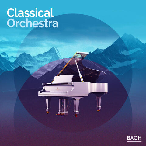 Classical Orchestra