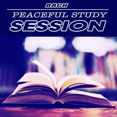 Peaceful Study Session