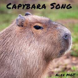 Capybara Song