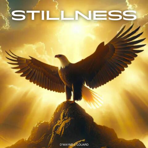 Stillness