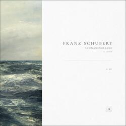 Schwanengesang, D. 957: 12. Am Meer