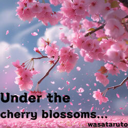 Under the cherry blossoms...