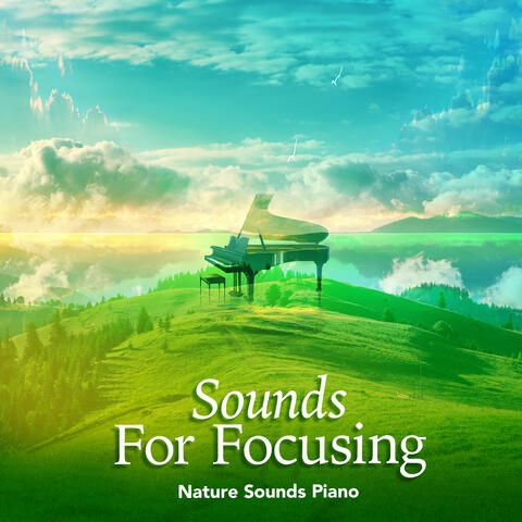 Sounds For Focusing