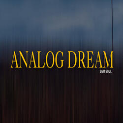 Analog Dream