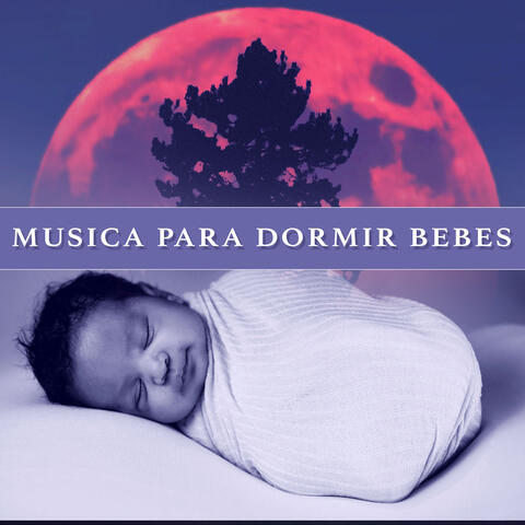 Musica Para Dormir Bebes