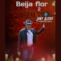 Beija-flor 2
