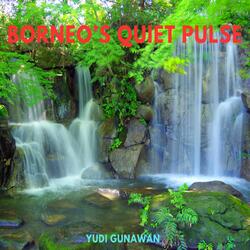 Borneo’s Quiet Pulse