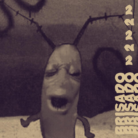 brisado 2
