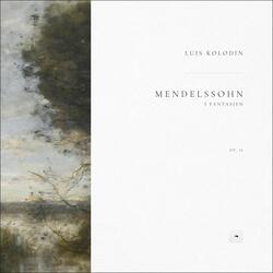 3 Fantasien, Op. 16: 1. Nelken und Rosen in Menge. Andante con moto, MWV U 70