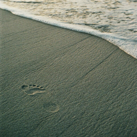 Footprints in the Sand, Slowly Washing Away