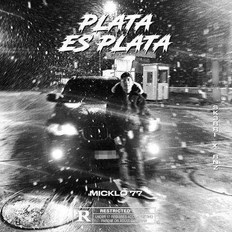 PLATA ES PLATA