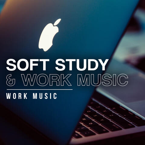 Soft Study & Work Music