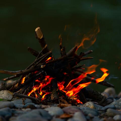 Sticks and stones