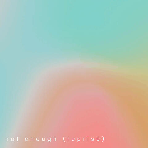 Not Enough (Reprise)
