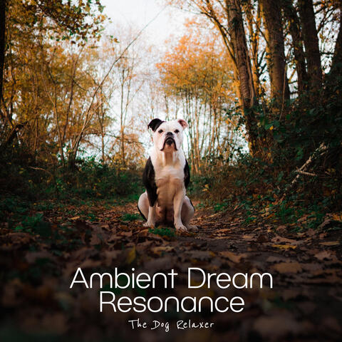Ambient Dream Resonance