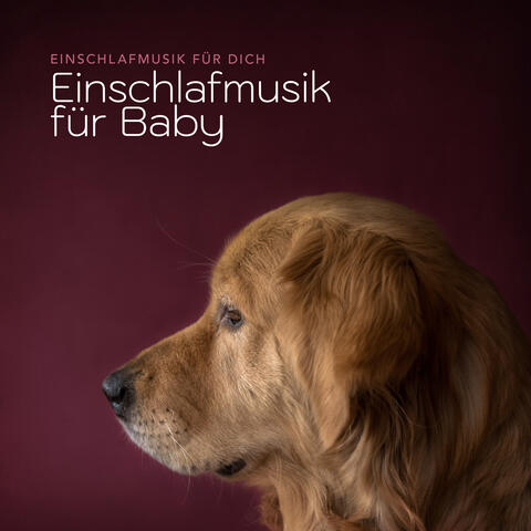 Einschlafmusik für Baby
