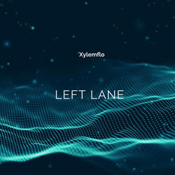 Left Lane