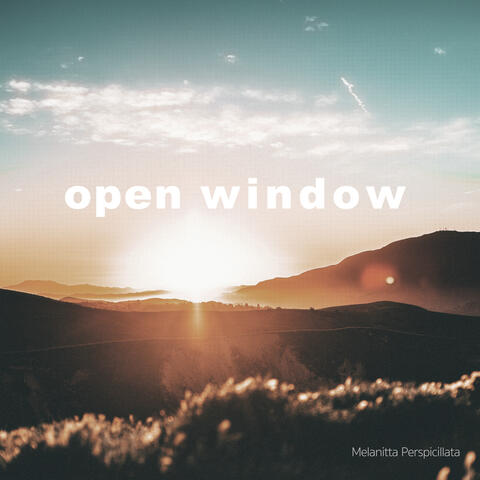 Open Window