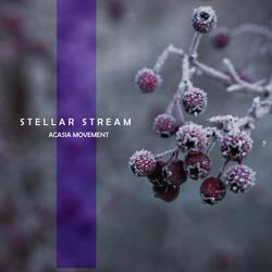 Stellar Stream