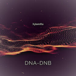 DNA-DNB