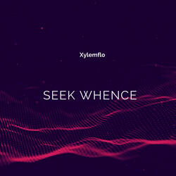 Seek Whence