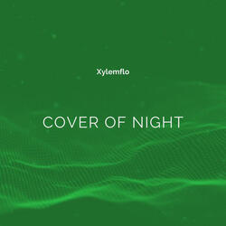 Cover of Night