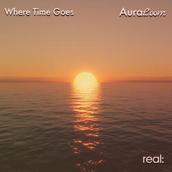 Where Time Goes