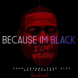 Because Im Black