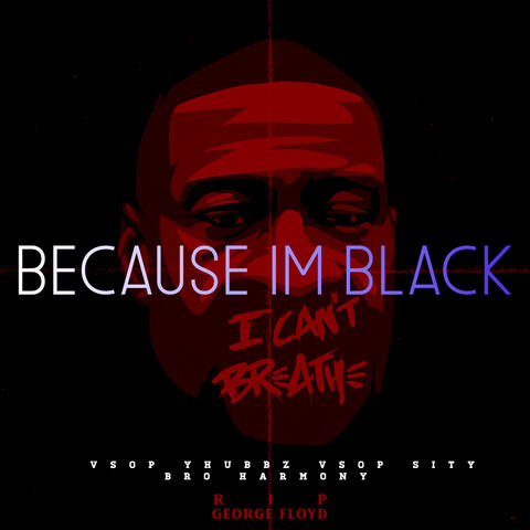 Because Im Black