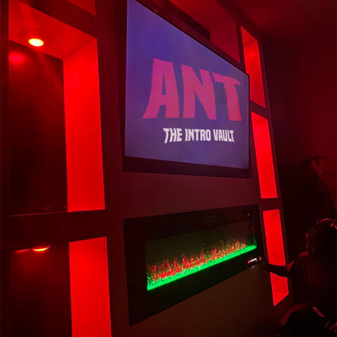 The Intro Vault