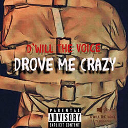 Drove Me Crazy