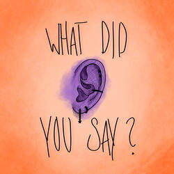 WhatDidYouSay?