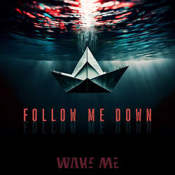 Follow Me Down