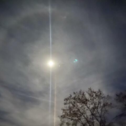 No Features (Freestyle)