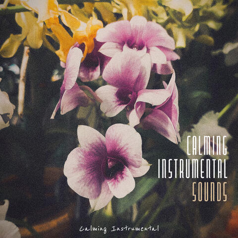 Calming Instrumental Sounds