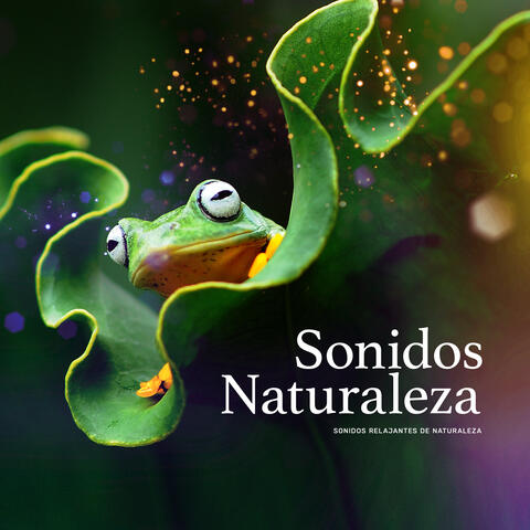 Sonidos Naturaleza