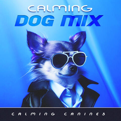 Calming Dog Mix
