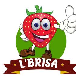 L'Brisa