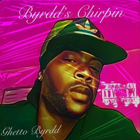 Byrdd’s Chripin