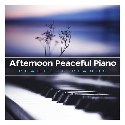 Afternoon Peaceful Piano