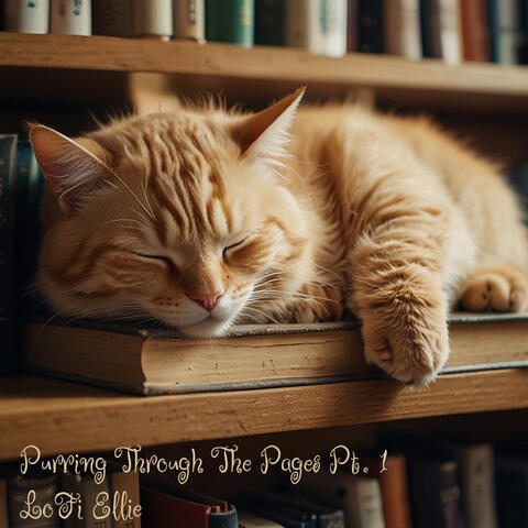 Purring Through The Pages Pt. 1