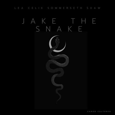 Jake The Snake, outro