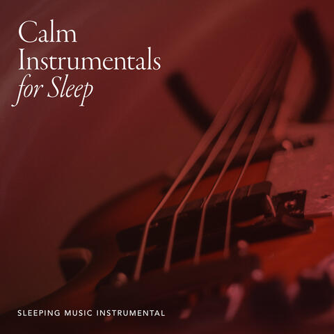 Calm Instrumentals for Sleep