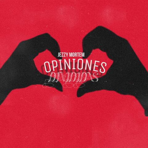 Opiniones Divididas