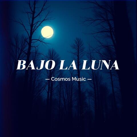 Bajo la Luna